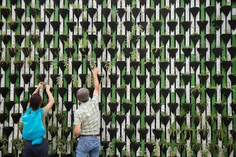 Two people tending to a vertical garden wall filled with black triangular pots. Green plants spill from each pot, creating a lush, organized display.